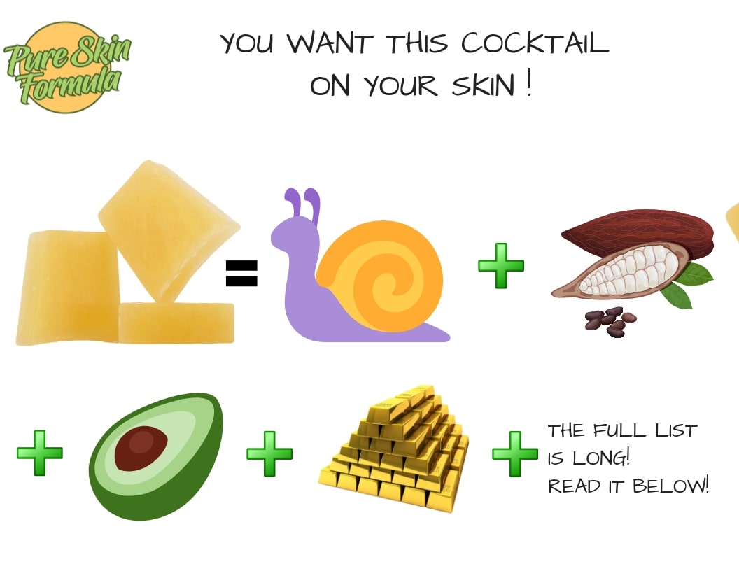 Ingredients_Snail Soap