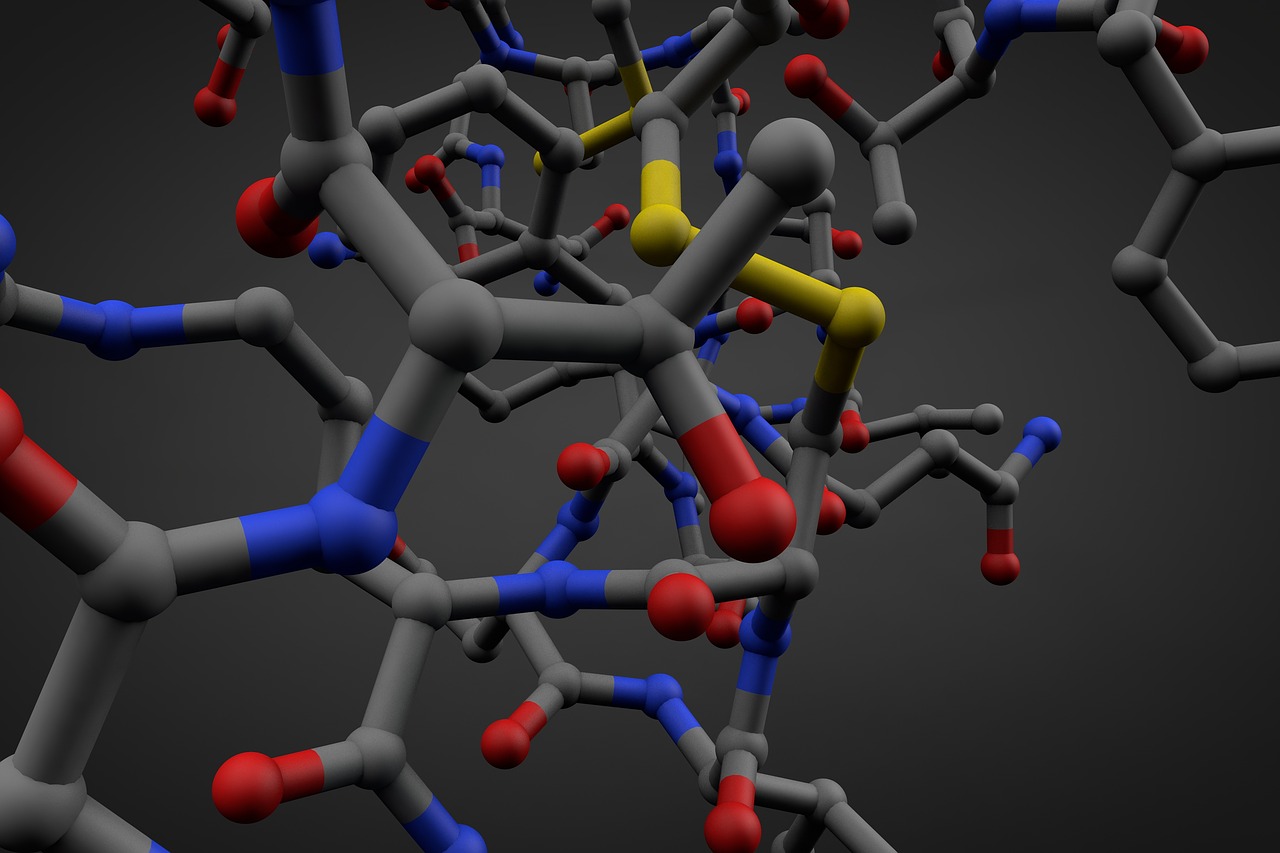 the graphics of a polymer grid