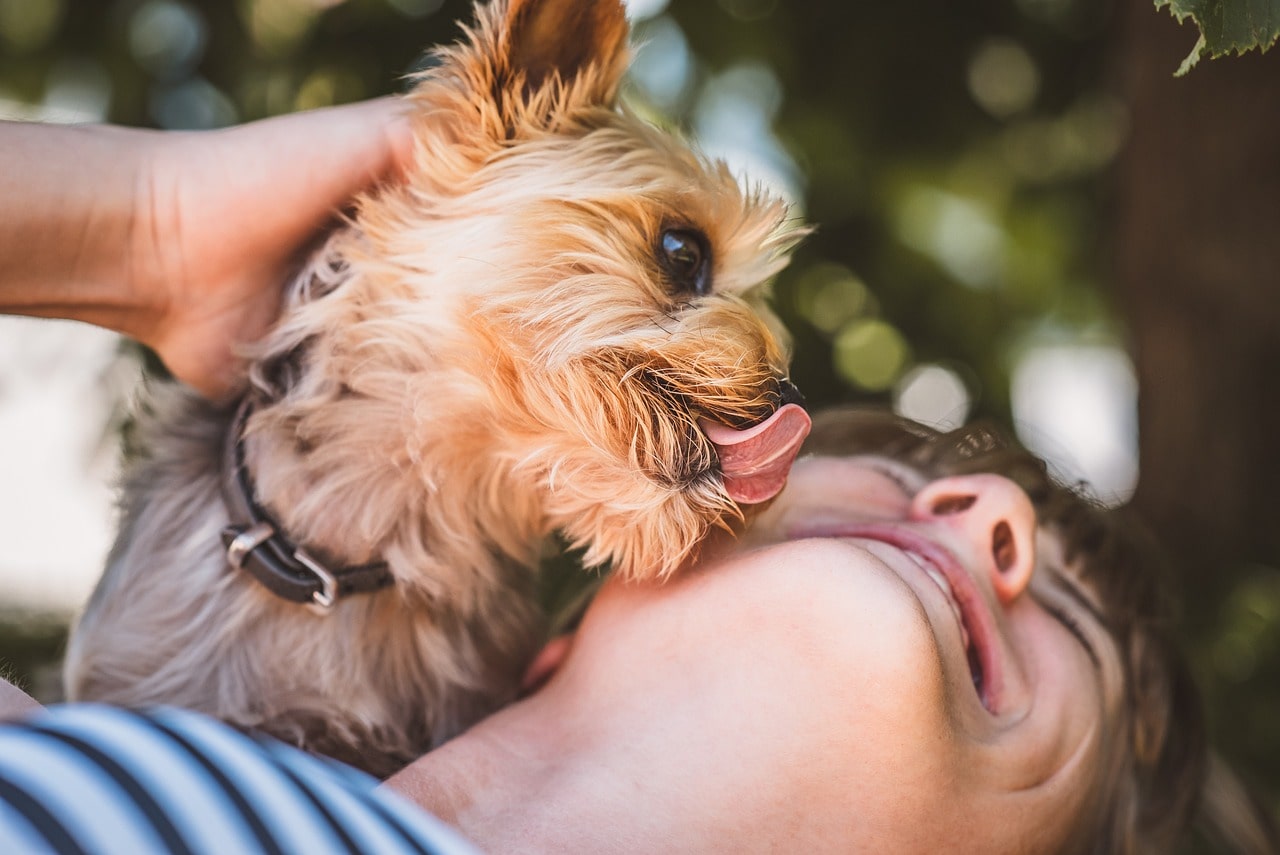 dog licking the face of a smiling women