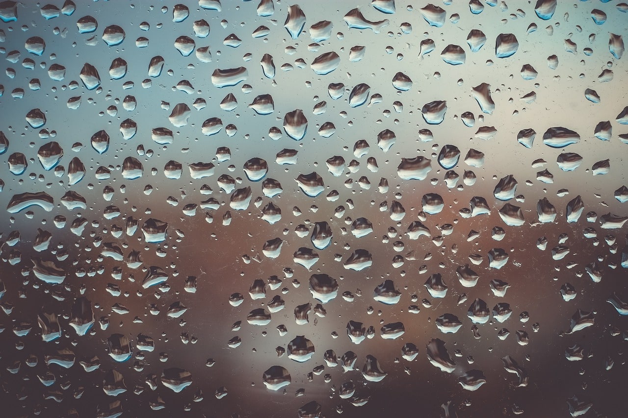 water drops on a window