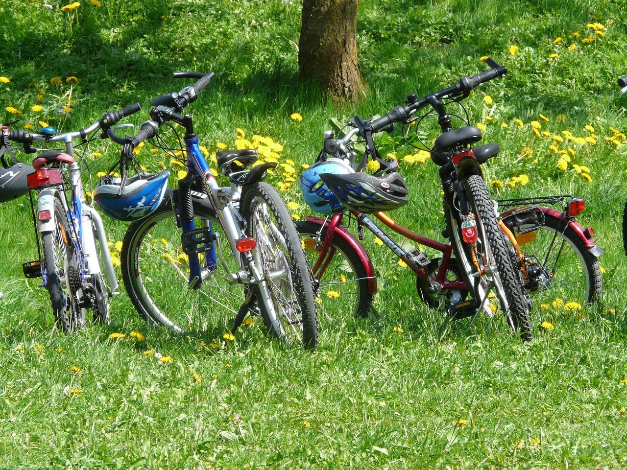 a few bicycles in the nature