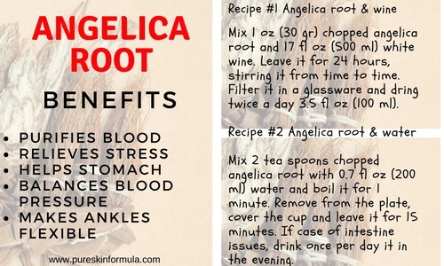 Angelica root recipes