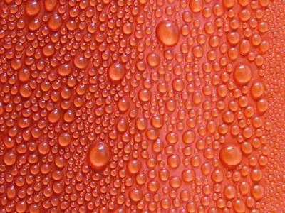 reducing body odor with neem oil when sweating