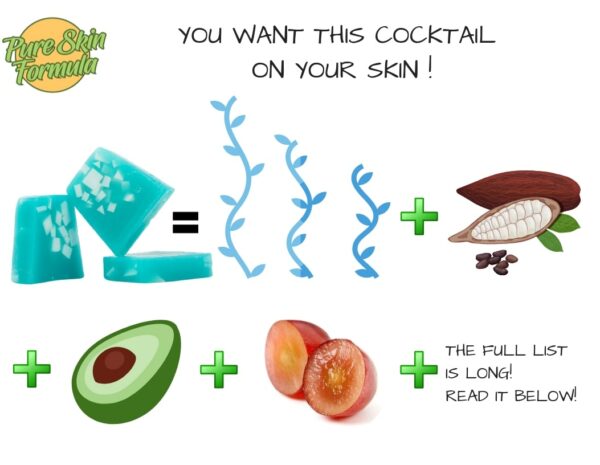 ingredients_seaweed soap ingredients_seaweed soap