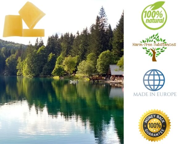 trusted product_snail soap trusted product_snail soap