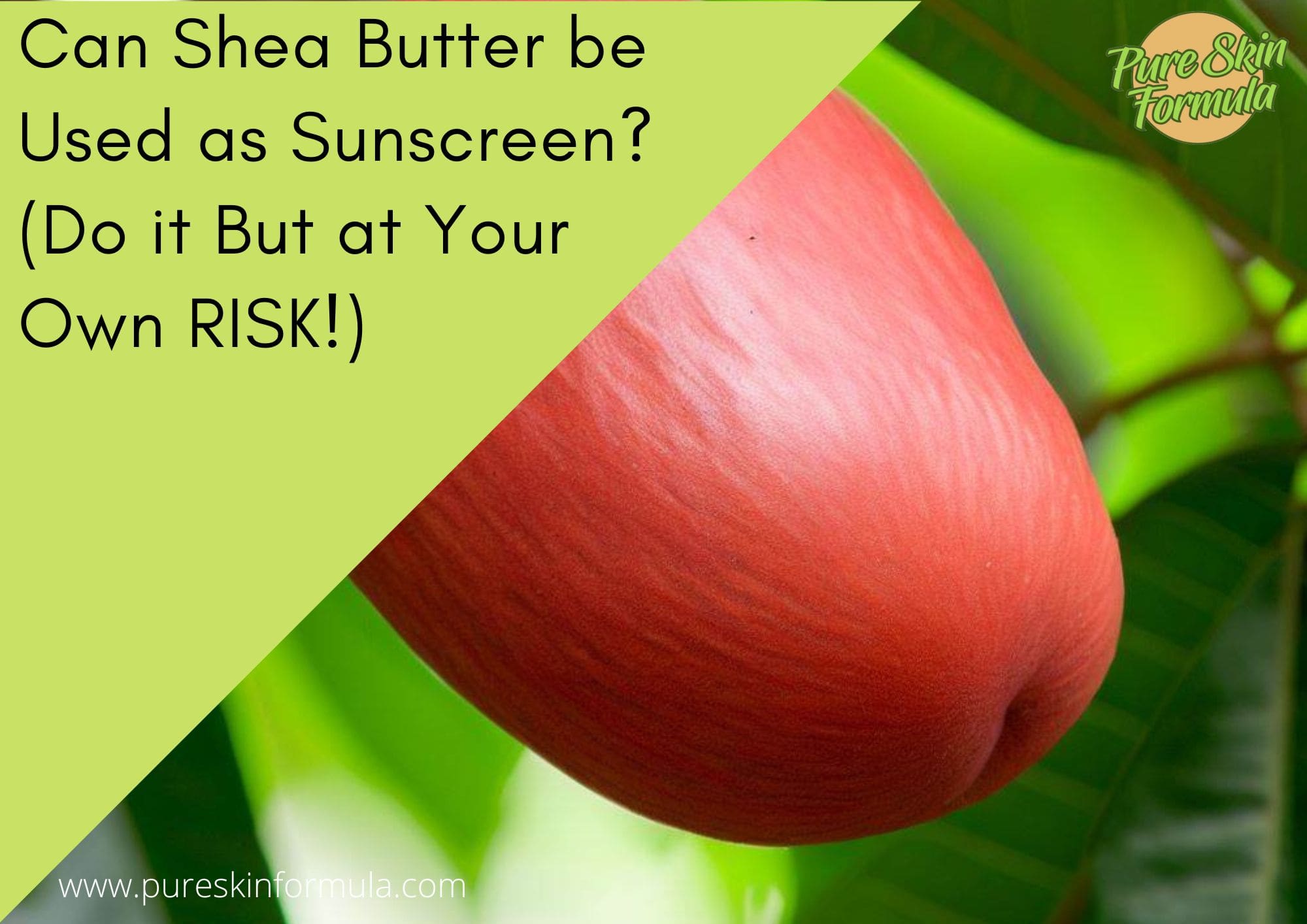 Can Shea Butter be Used as Sunscreen? (Do it But at Your Own RISK!)