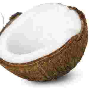 coconut fruit